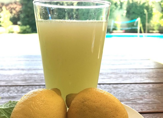 https://cl-mycooktouch.group-taurus.com/image/recipe/545x395/limonada-menta
