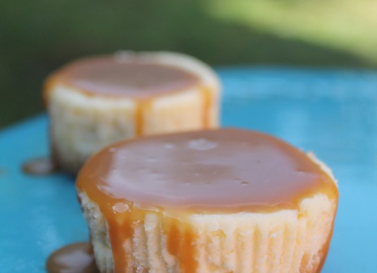 Mini Caramel Cheesecake | MyCook Chile